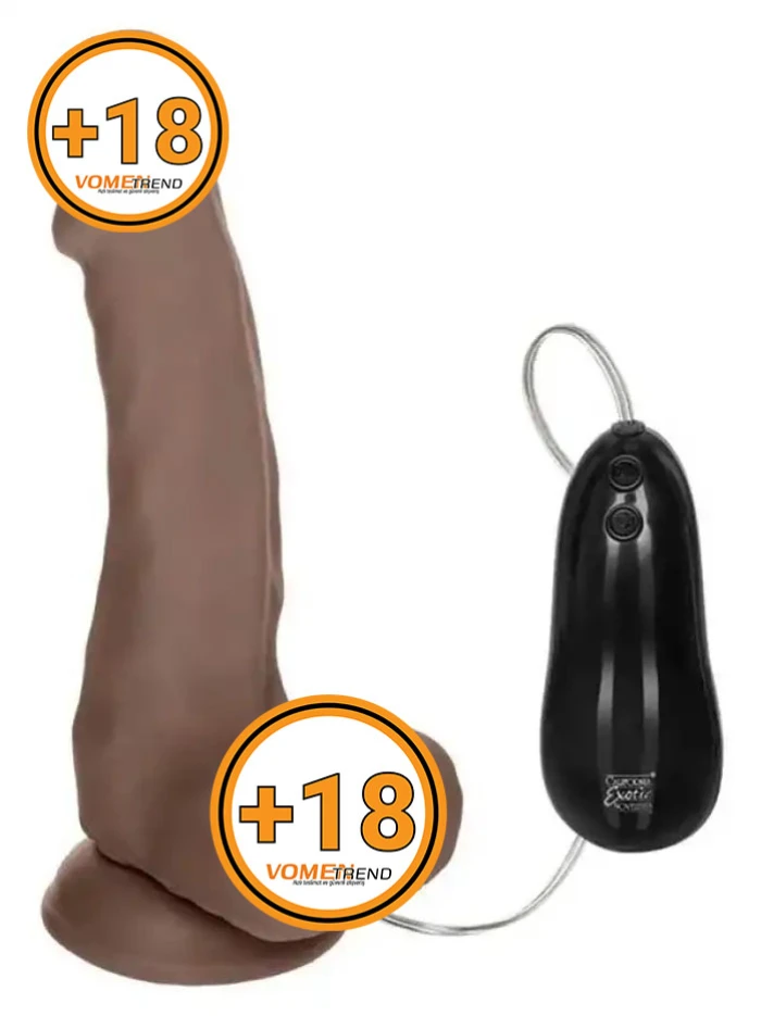 21 cm 12 Fonksiyonlu Kumandalı Oynar Başlı Vibratör Dildo - vomentrend.com